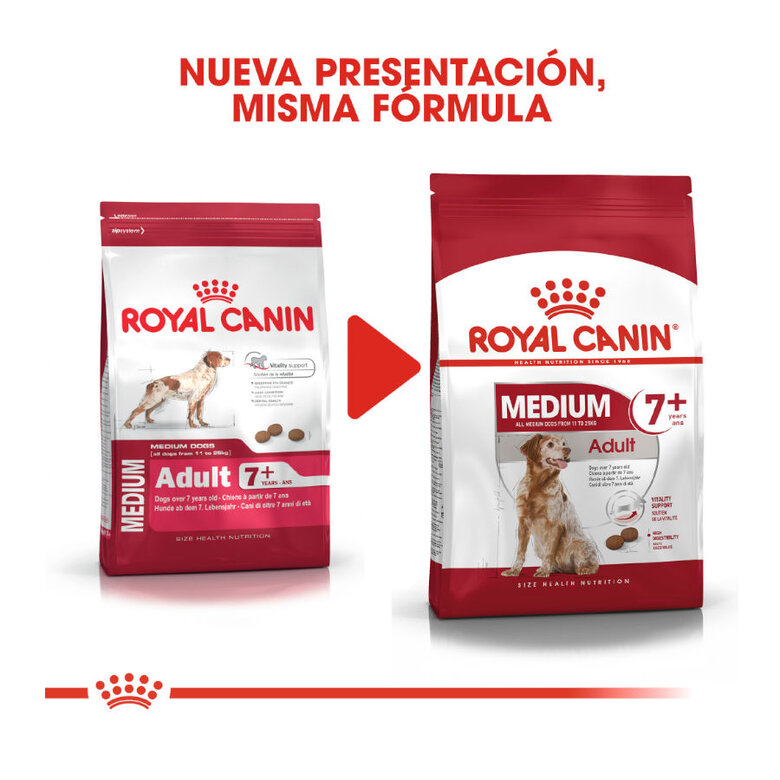 Royal Canin Medium 7+ Adult pienso para perros seniors, , large image number null
